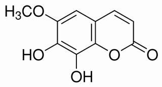 秦皮素,分析标准品,HPLC≥98%