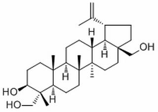 23-Hydroxybetulin，分析标准品,HPLC≥98%