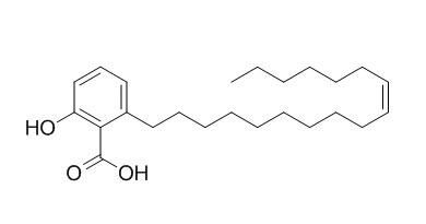 银杏酸C17:1,分析标准品,HPLC≥98%