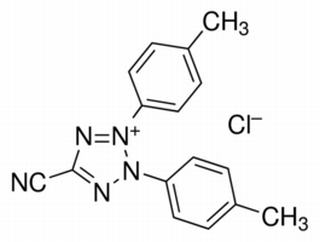 5-氰基-2,3-二-(P-苄基-四唑氯化物),分析标准品,HPLC≥95%