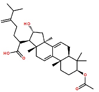 去氢茯苓酸 ,分析标准品,HPLC≥98%