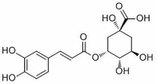新绿原酸,分析标准品,HPLC≥98%