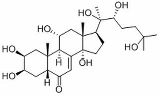 土克甾酮,分析标准品,HPLC≥98%