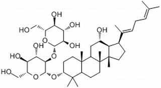 人参皂苷Rg5,分析标准品,HPLC≥98%