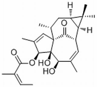 20-Deoxyingenol 3-angelate，分析标准品,HPLC≥98%