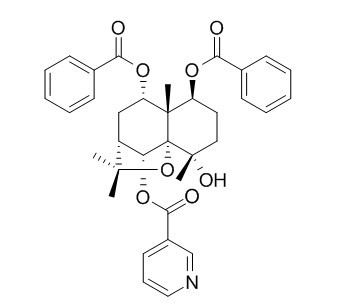 黑蔓定碱,分析标准品,HPLC≥95%