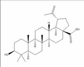 白桦脂酸，分析标准品,HPLC≥98%