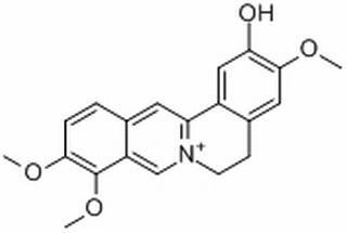 非洲防己碱,分析标准品,HPLC≥98%