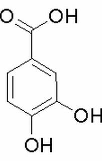 原儿茶酸,分析标准品,HPLC≥98%