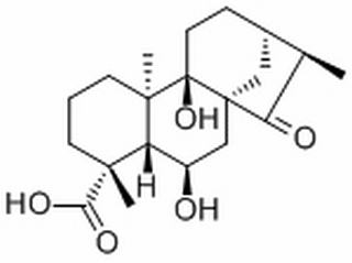 Pterisolic acid D,分析标准品,HPLC≥98%