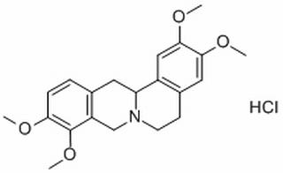 延胡索乙素,分析标准品,HPLC≥98%