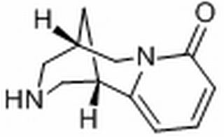 金雀花碱,分析标准品,HPLC≥98%