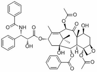 紫杉醇,分析标准品,HPLC≥98%