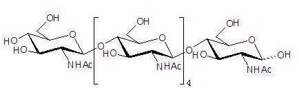 N-乙酰化的壳六糖,分析标准品,HPLC≥95%