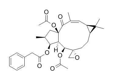 大戟因子L1,分析标准品,HPLC≥98%
