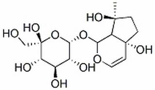 哈巴苷，分析标准品,HPLC≥98%