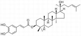 Dammarenediol II 3-O-caffeate,分析标准品,HPLC≥98%