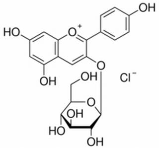 天竺葵素-3-氯化葡萄糖苷,分析标准品,HPLC≥95%