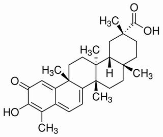 雷公藤红素,分析标准品,HPLC≥98%