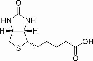 D-生物素,分析标准品,HPLC≥98%