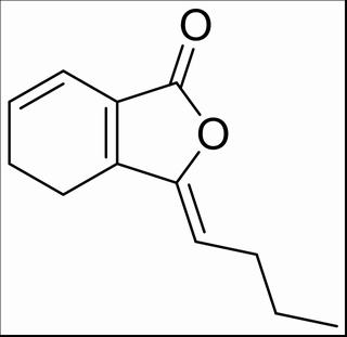 蒿本内酯,分析标准品,HPLC≥98%