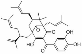 山竹子素,分析标准品,HPLC≥95%