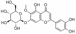 假荆芥属苷,分析标准品,HPLC≥98%