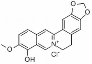 小檗红碱,分析标准品,HPLC≥98%