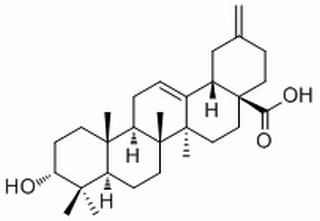 3-Epiakebonoic acid,分析标准品,HPLC≥98%