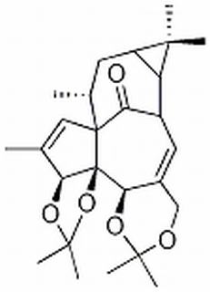 巨大戟醇-3,4:5,20-双缩丙酮,分析标准品,HPLC≥98%