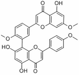 金松双黄酮,分析标准品,HPLC≥98%