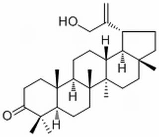 30-Hydroxylup-20(29)-en-3-one,分析标准品,HPLC≥98%