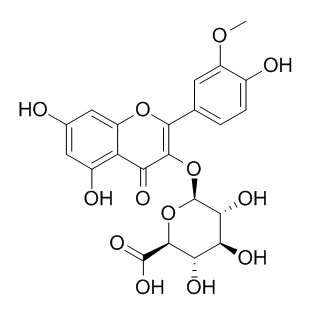 异鼠李素-3-葡萄糖醛酸苷,分析标准品,HPLC≥95%