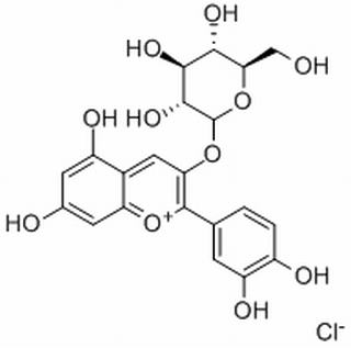 矢车菊素-3-O-葡萄糖苷,分析标准品,HPLC≥95%