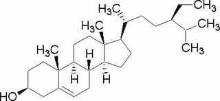 β-谷甾醇,分析标准品,HPLC≥98%