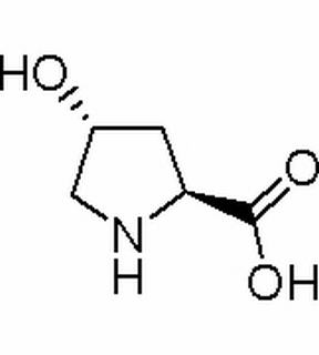 L-羟脯氨酸,分析标准品,HPLC≥98%
