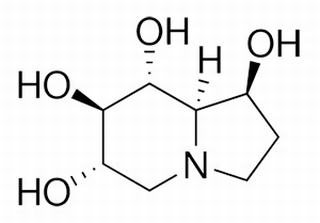 栗精胺,分析标准品,HPLC≥98%