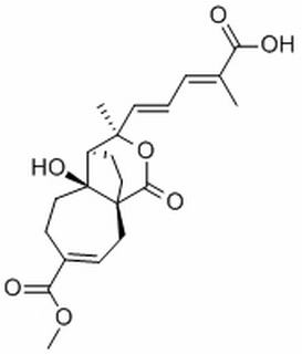 土荆皮丙酸,分析标准品,HPLC≥98%
