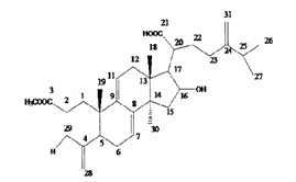 茯苓酸AM,分析标准品,HPLC≥95%