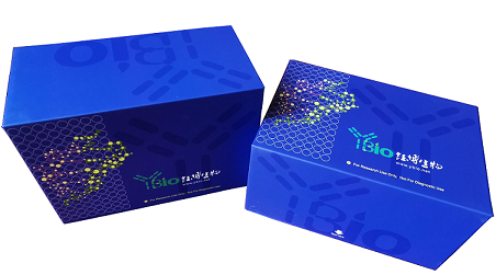 Cell Counting Kit-8(CCK-8)